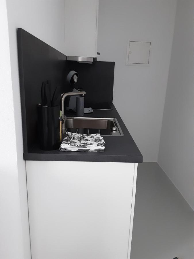 Appartement Im Hasental 加爾米施-帕滕基興 外观 照片